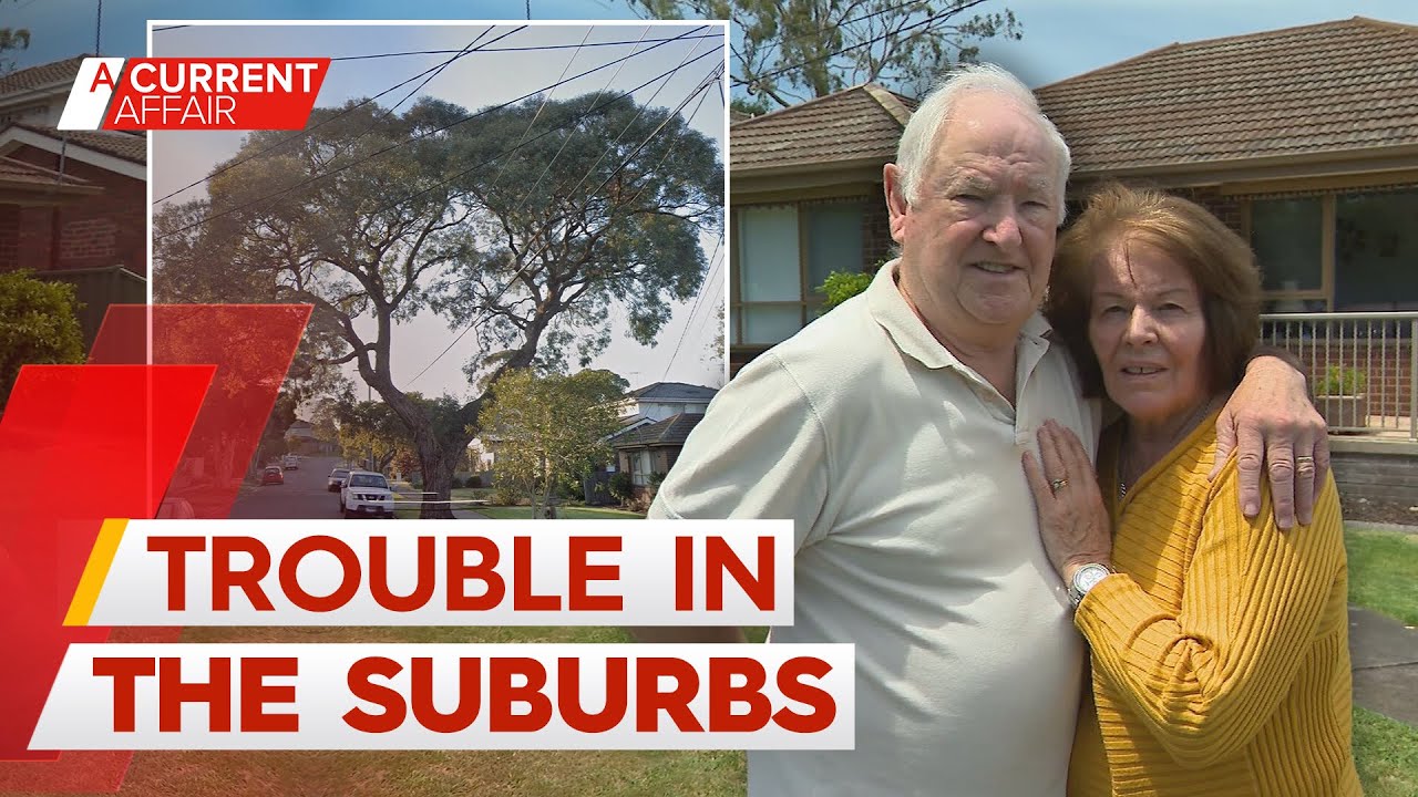 Pensioners lose thousands after council tree falls on home | A Current Affair