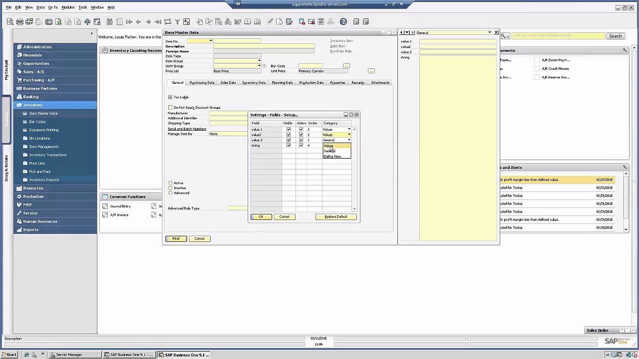 SAP Business One Sort Header Level UDF's into Categories