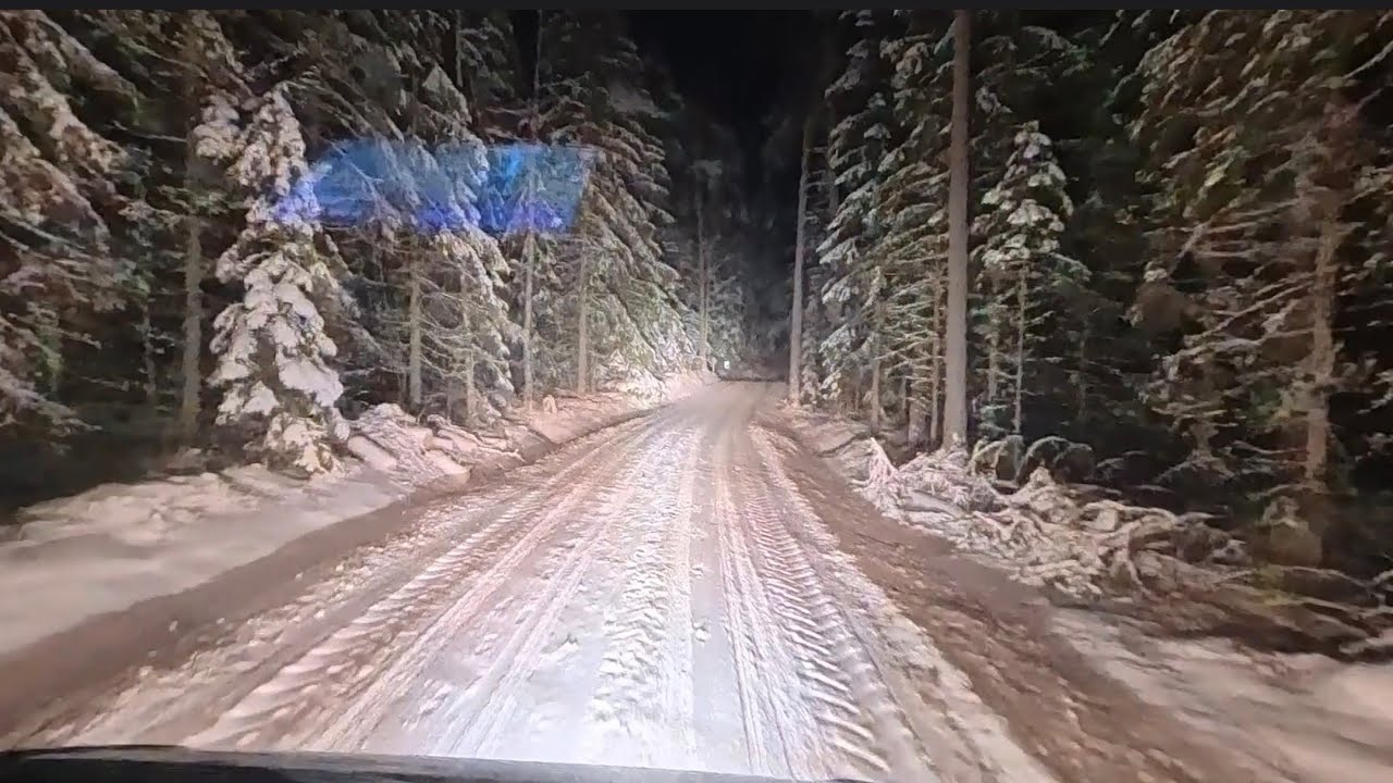 Yön Seikkailu Liesjärvellä | Allulla Puskaparkissa ja Poluilla 