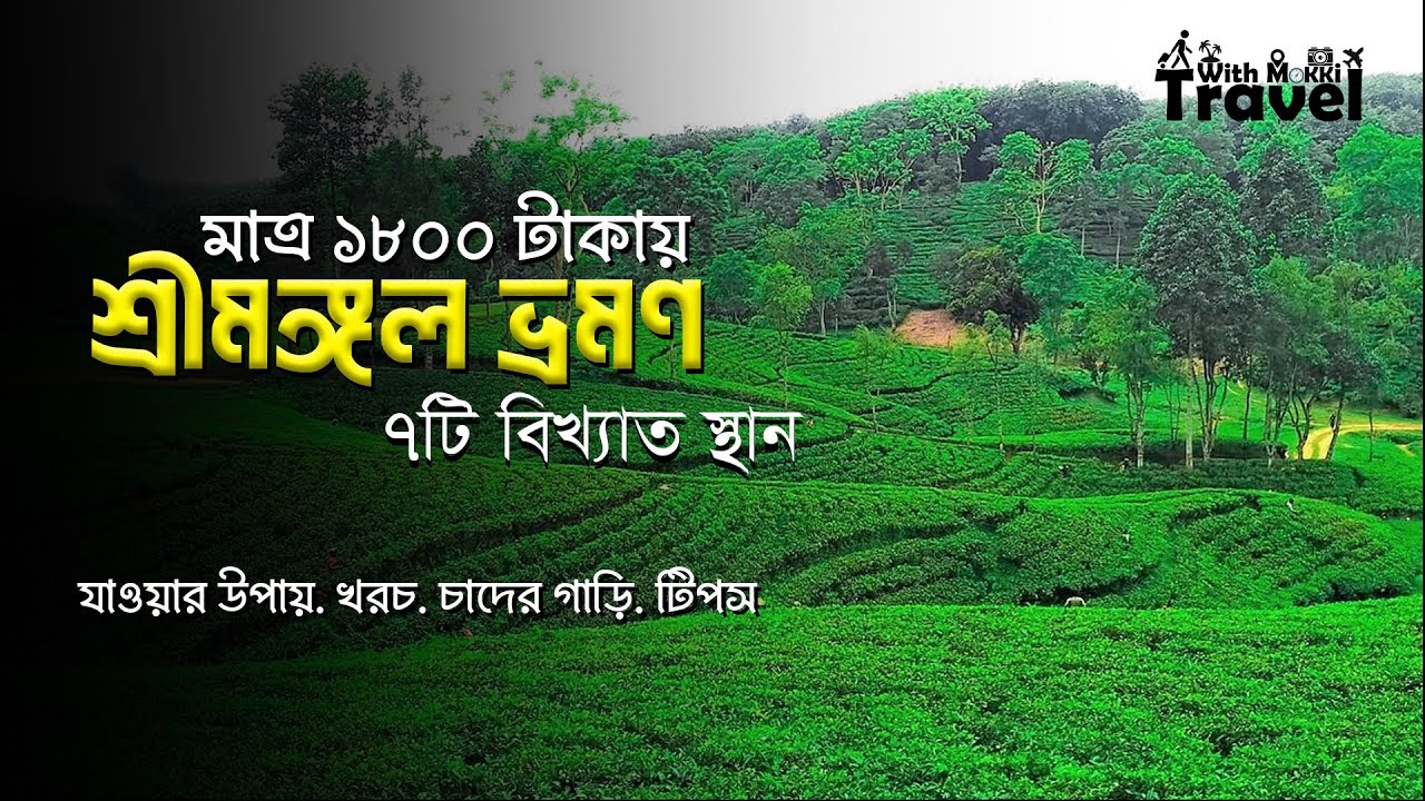 একদিনে শ্রীমঙ্গল ভ্রমণ মাত্র ১৮০০ টাকায়! দেখুন ৭টি বিখ্যাত জায়গা | লাউয়াছড়া উদ্যান | ভ্রমণ গাইড