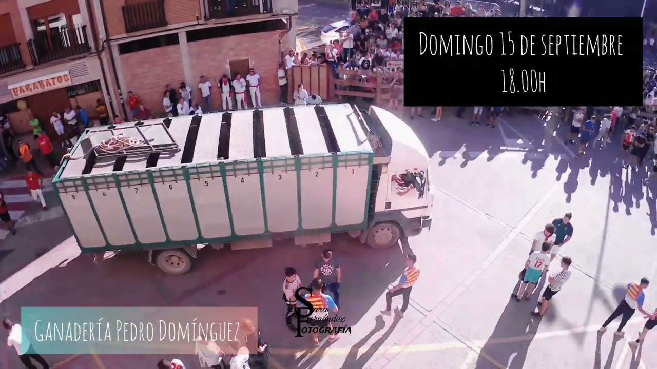Toro con soga - Lodosa, Navarra. Fiestas en honor a la virgen de las Angustias 2024