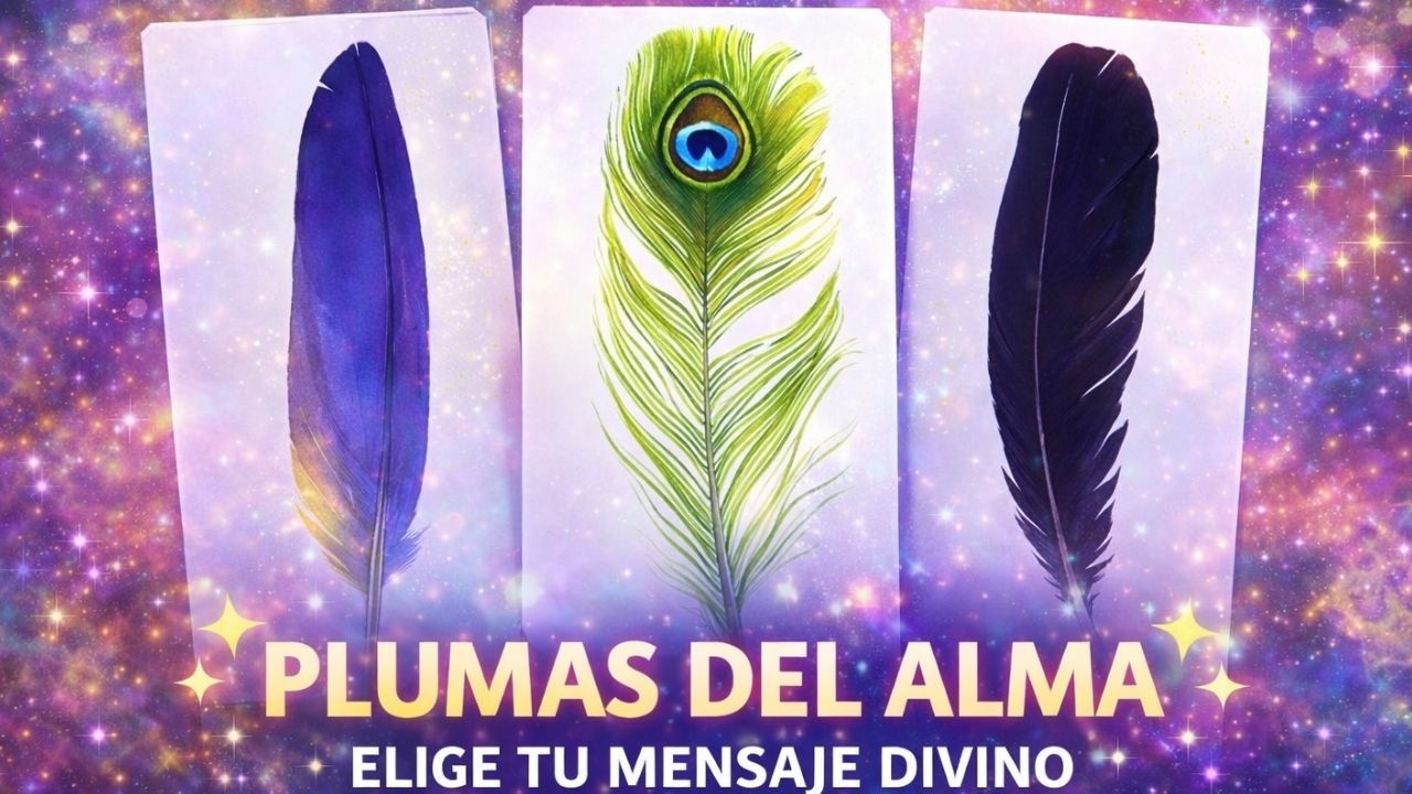 Plumas del Alma ✨ Elige tu Mensaje Divino | Tarot Interactivo Canalizado