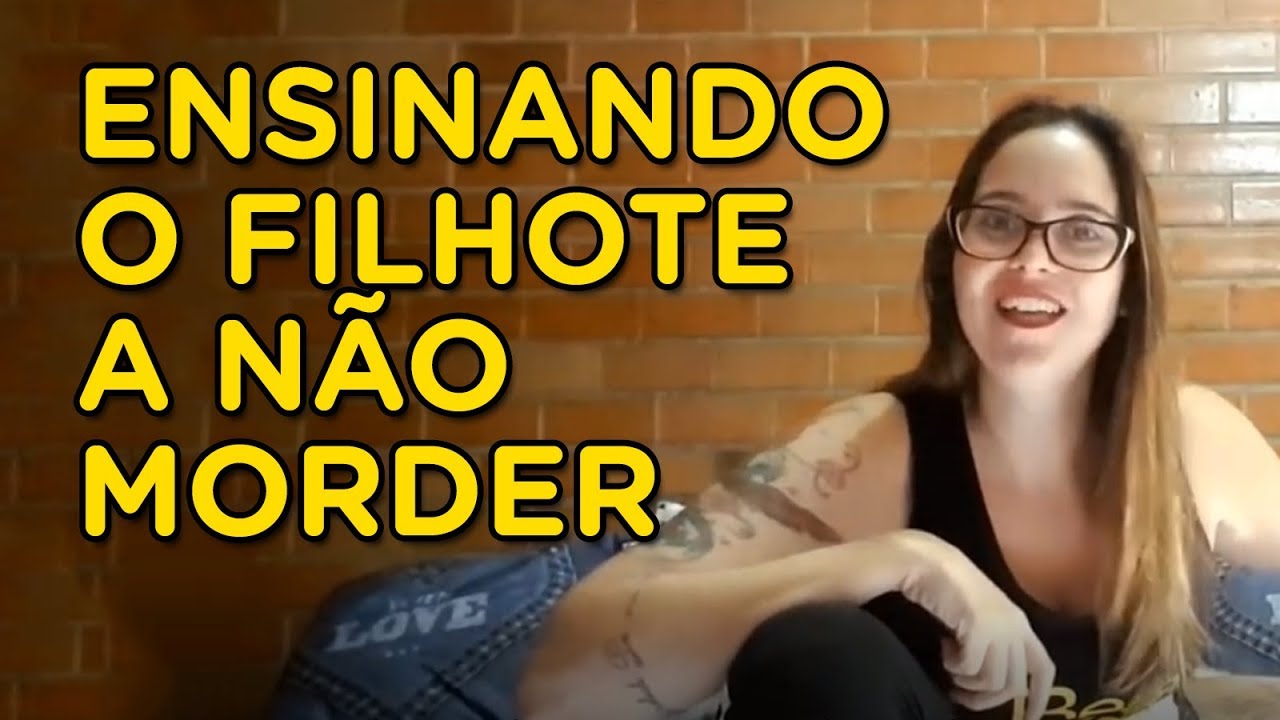 Ensinando o filhote a NÃO  MORDER | Momento Pet | Adestramento