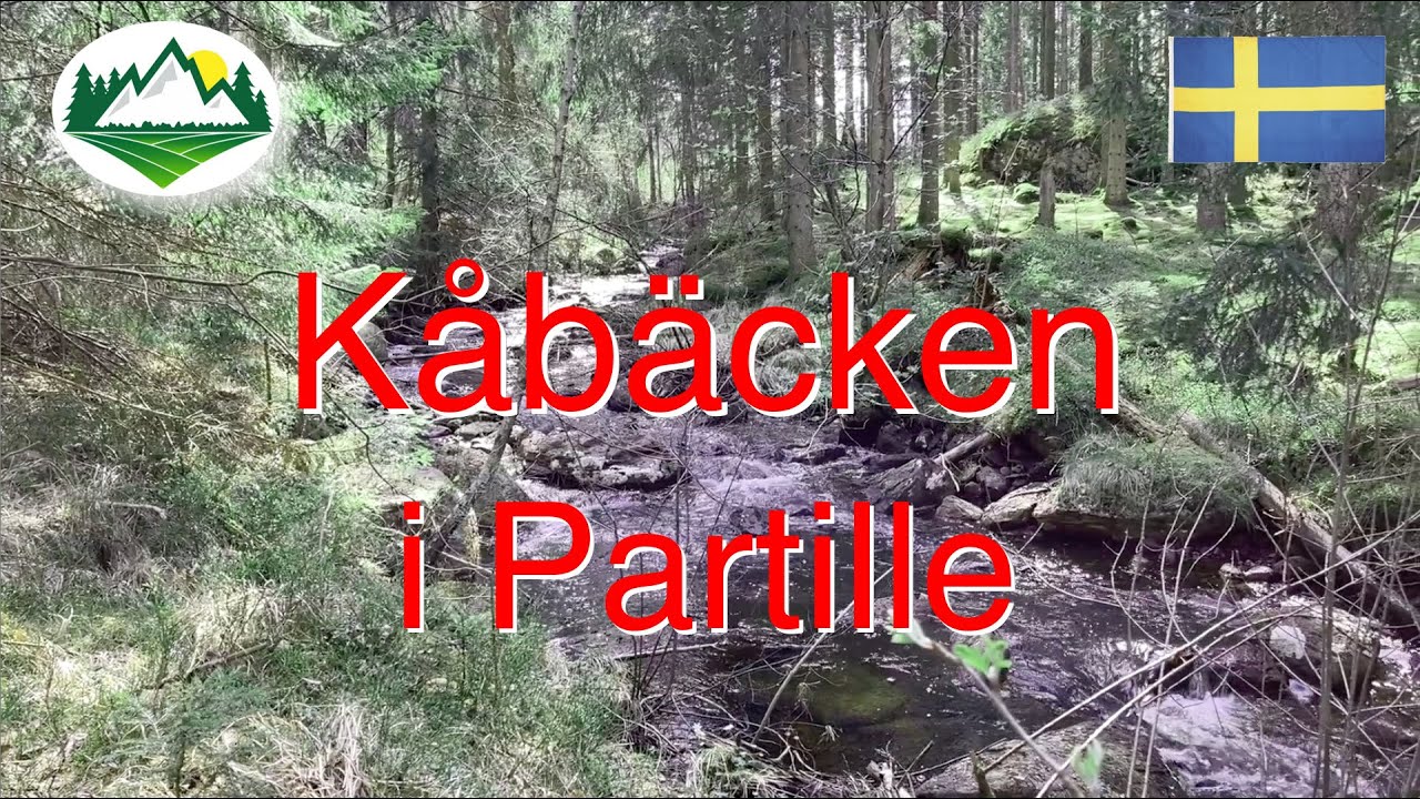 K&aring;b&auml;cken i Partille