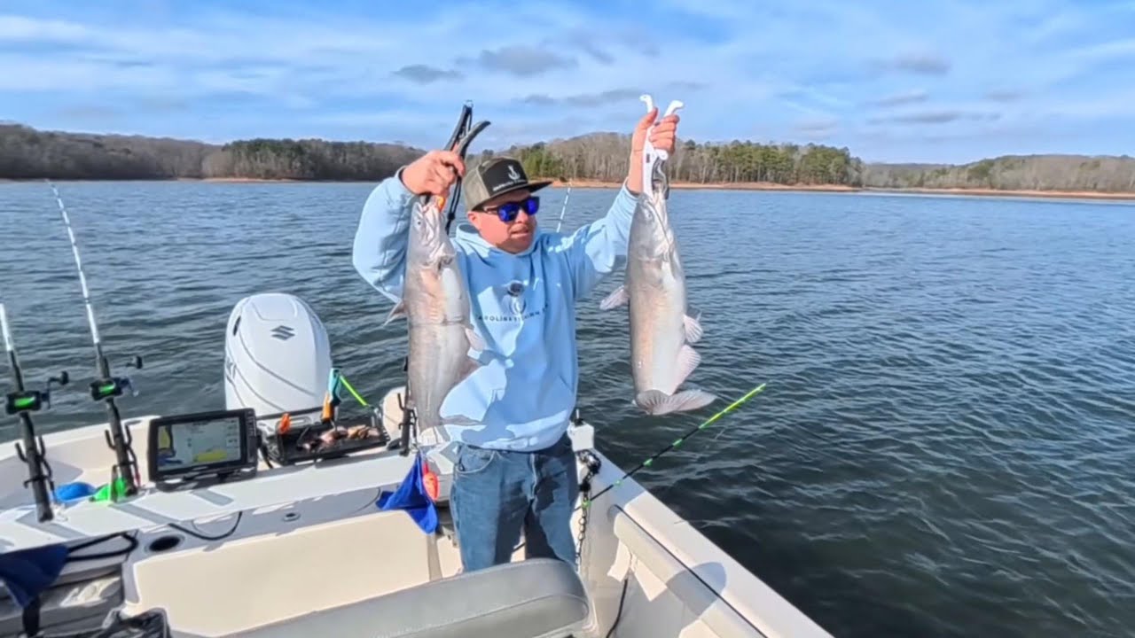 Buggs Island Catfishing December 2025 (Kerr Lake)
