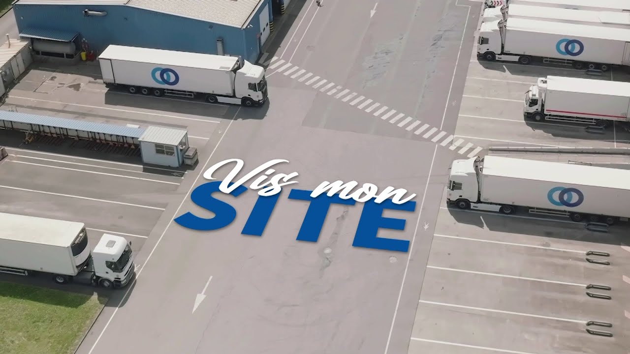 Vis Mon Site - STEF web series