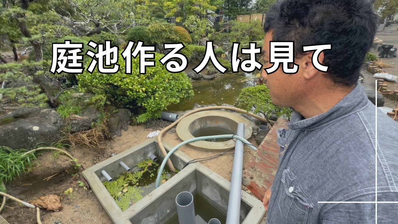 枯葉に困る庭池#garden #koifish #濾過層