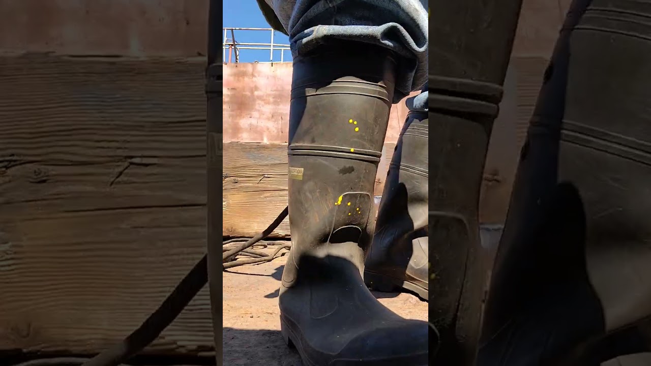 Work flow this morning 