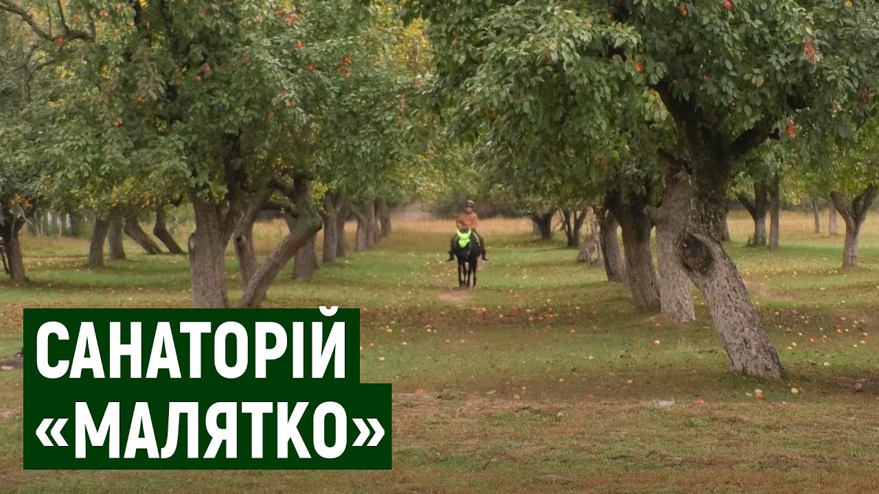 38 дітей з квітня до жовтня пройшли реабілітацію в санаторії 