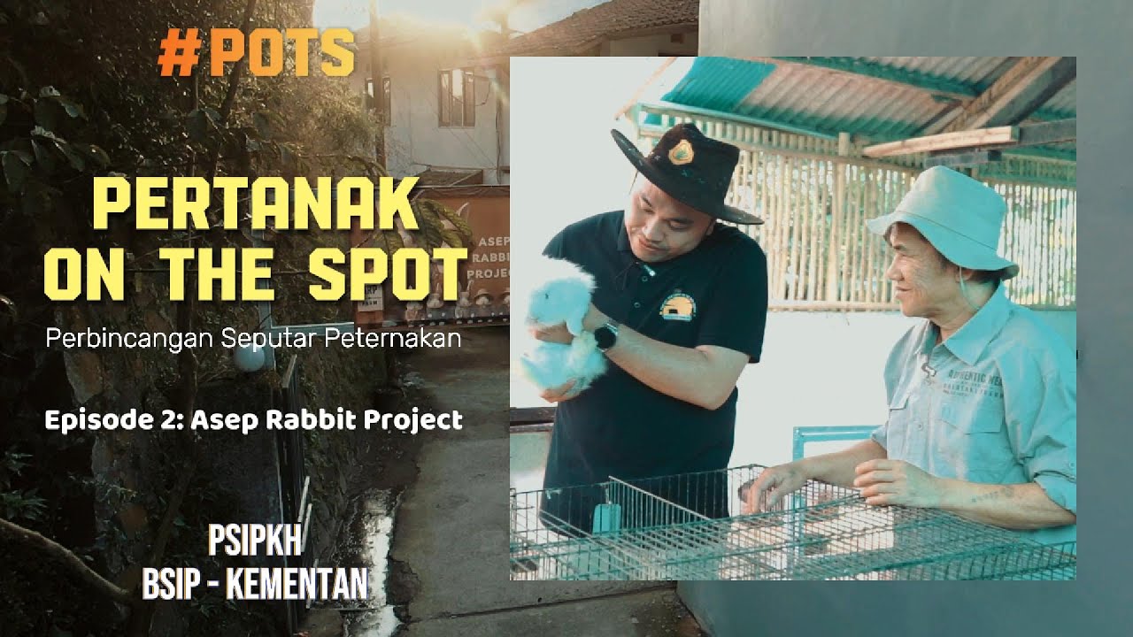POTS Pertanak On The Spot: Asep Rabbit Project