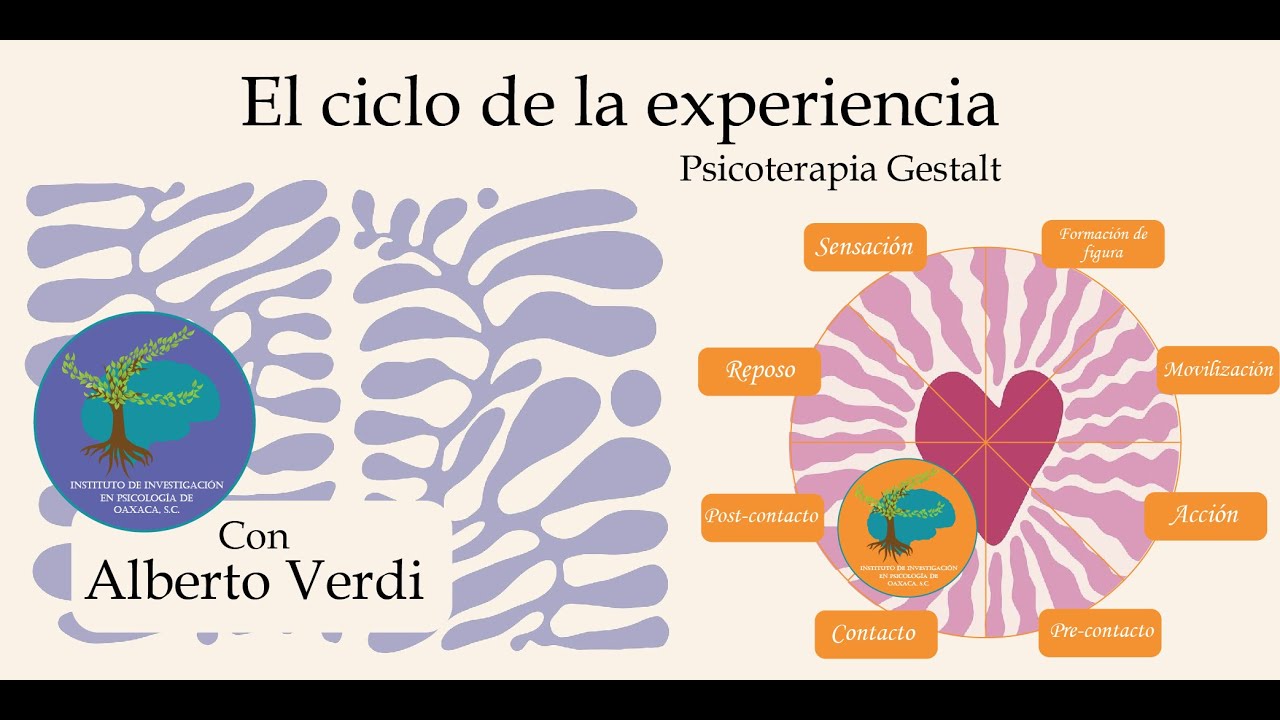 El ciclo de la experiencia Gestalt
