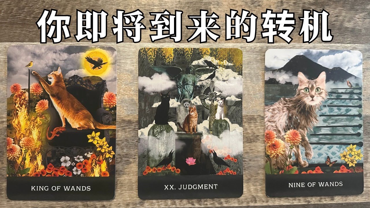 🍭🍭你即将到来的转机🌞❤️(Timeless Reading) #运势 #工作# 事业 # 情感#关系 #占卜 #塔罗 #疗愈 海瑟占星占卜