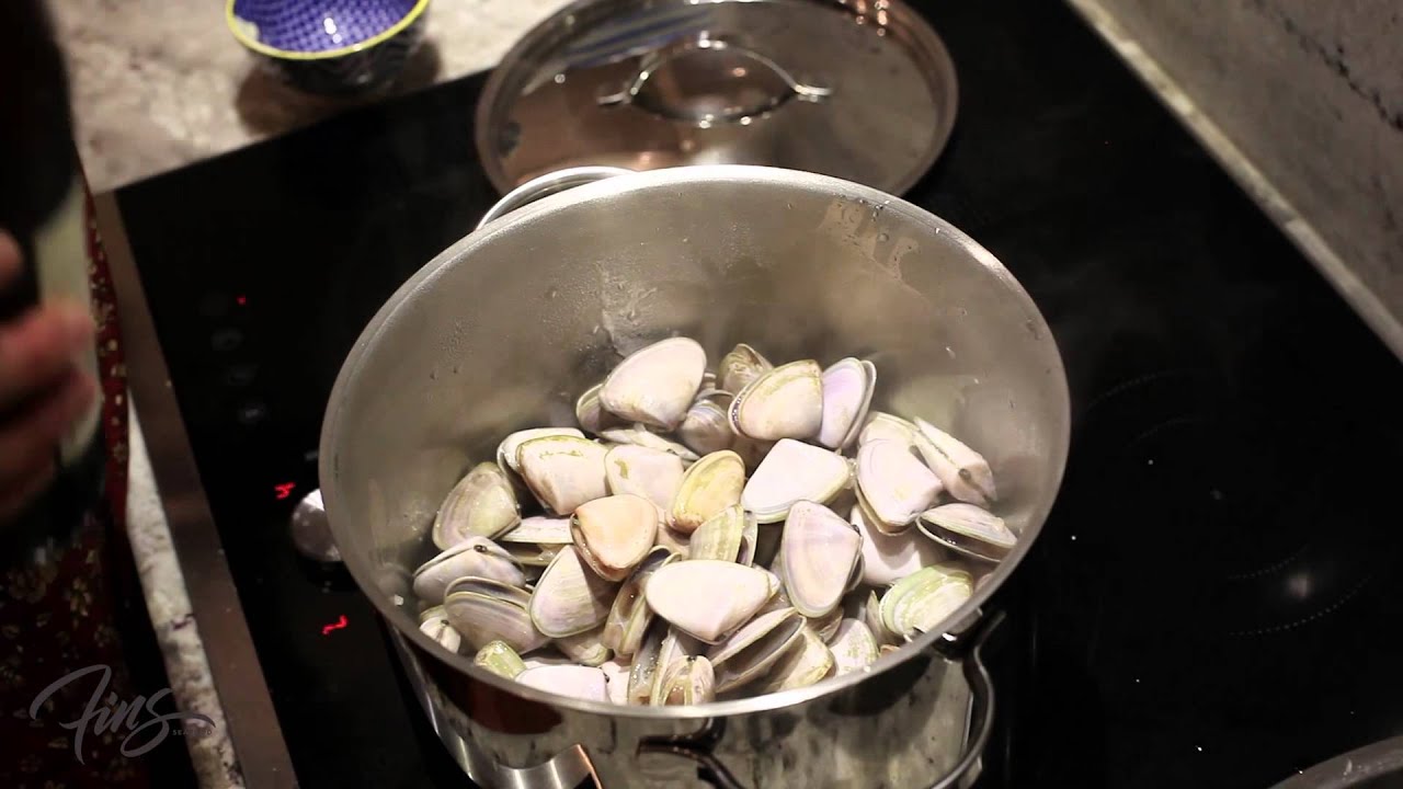 Fins Tips - French Style Goolwa Pippies