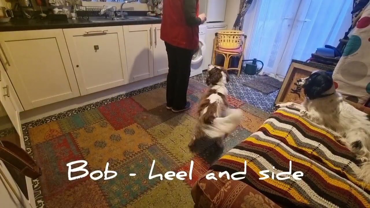 Katy Bob 24 February 2024 various proprioception activities