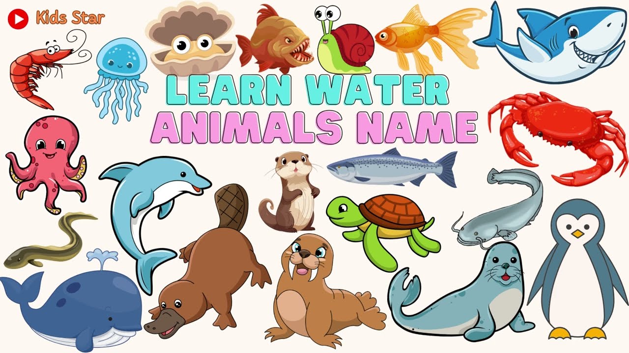 WATER ANIMALS NAME | BELAJAR NAMA HEWAN YANG HIDUP DI AIR | BELAJAR NAMA-NAMA BINATANG