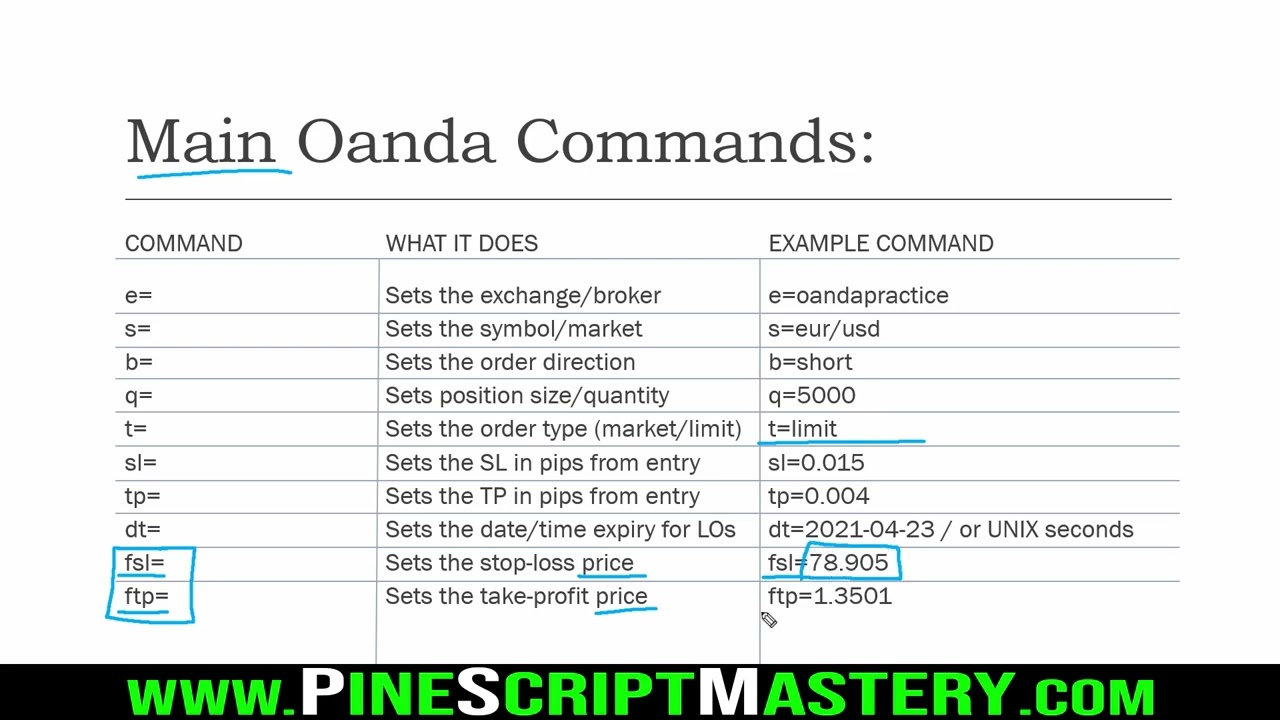 13 - 2  Autoview Commands (Команды автоматического просмотра)