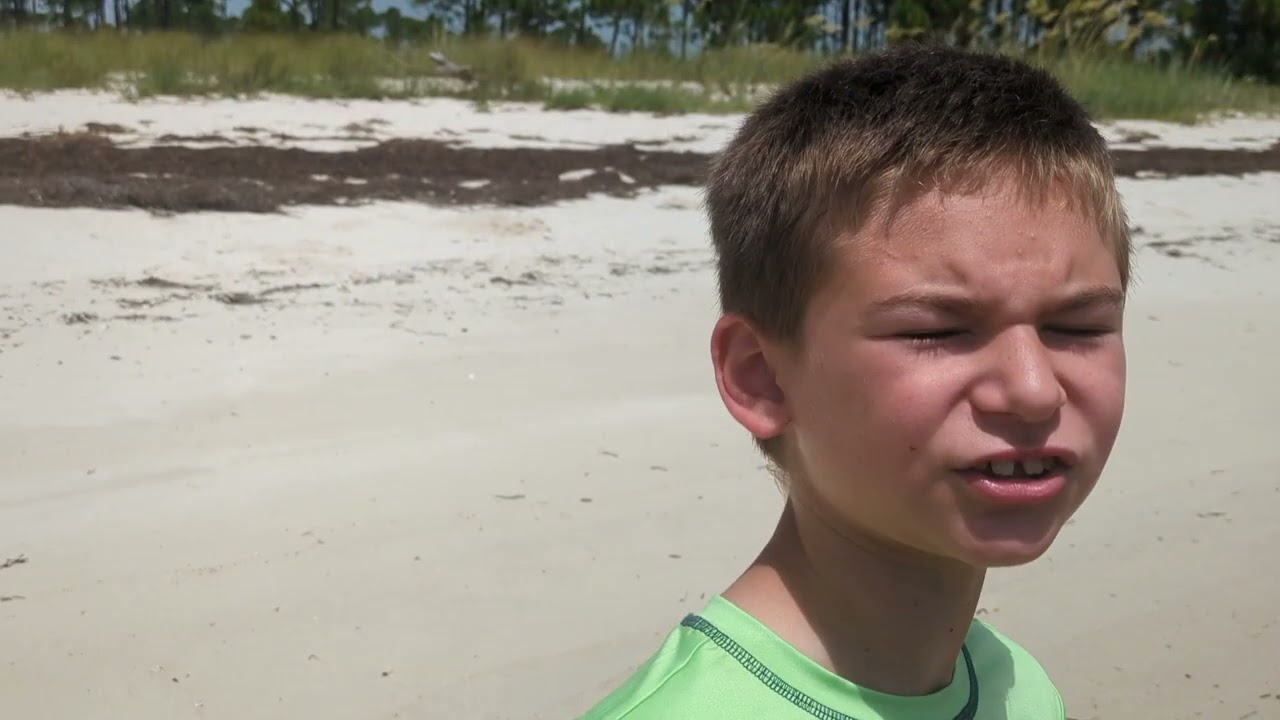 The Quietest Beach in Florida? Alligator Point