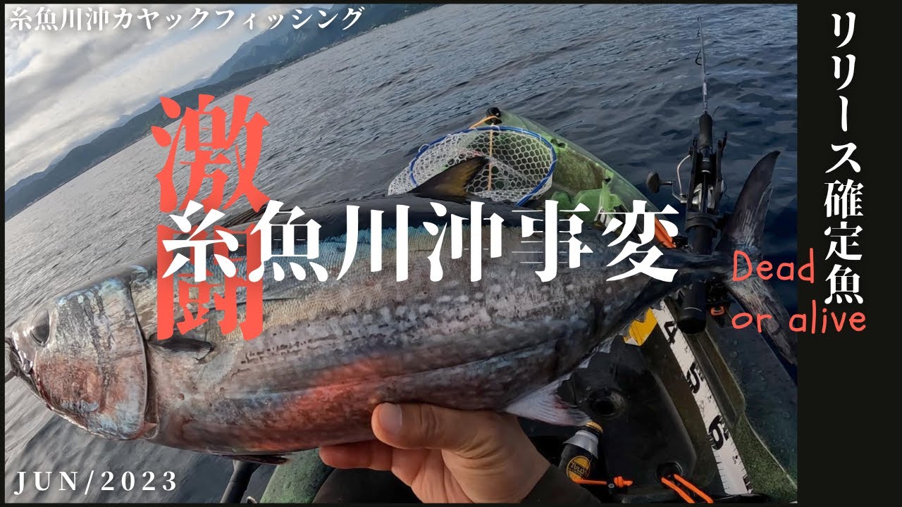 【カヤックフィッシング】糸魚川方面沖でクロマグロ・真鯛・ESO乱舞！ESOアタック回避からの強烈なやり取り！！