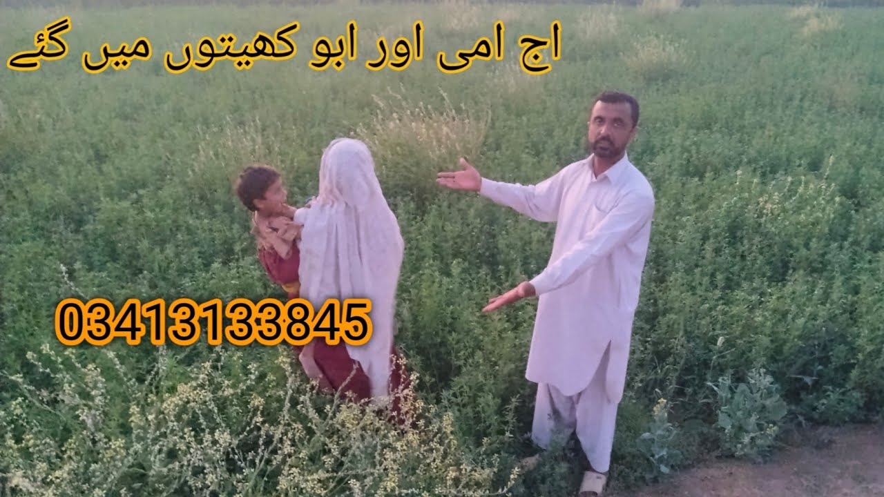 7 March 2026Aaj   Ami Aur Abbu Kheton Mein Gaye //Mirab Family Vlog 