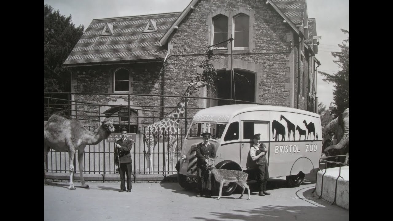 BRISTOL ZOO THROUGH THE YEARS