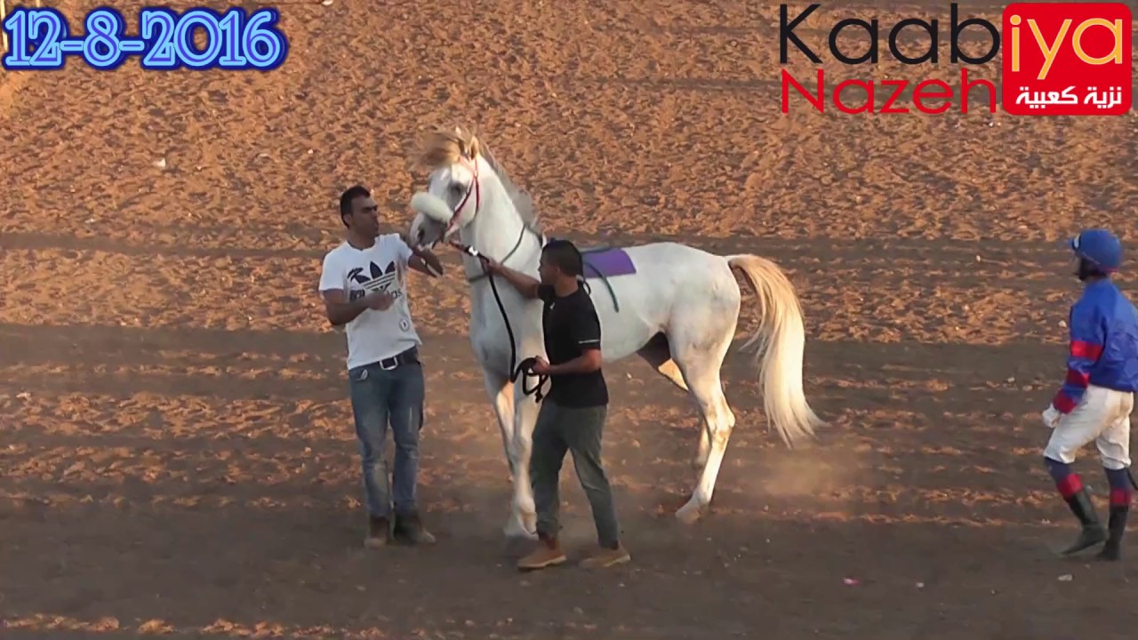شوط العمالقة الكبار الابطال برق الصخرة سبيد تور مشتاق ميدان قانا الجليل كفركنا 12/8/2016