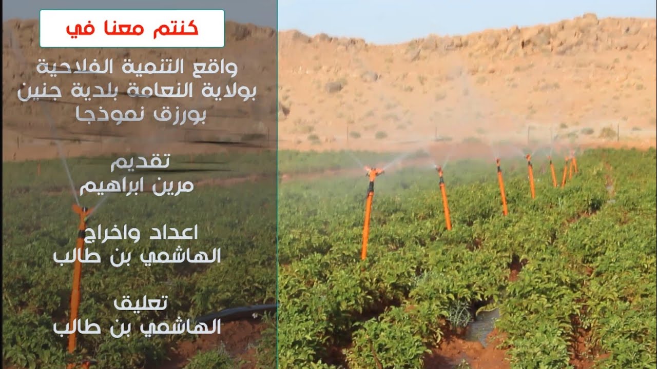 واقع التنمية الفلاحية لولاية النعامة بلدية جنين بورزق انموذج