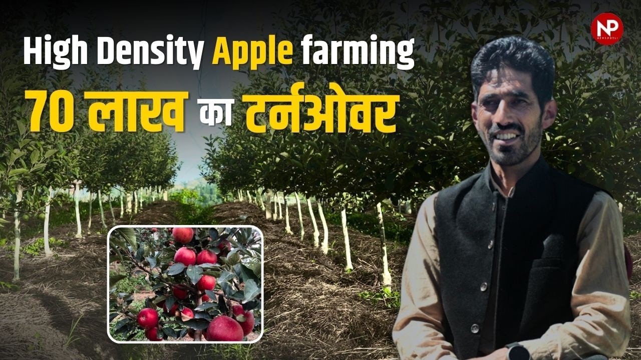 High density Apple farming: 70 लाख का सालाना टर्नओवर 💯 || Apple 🍎 Orchards || Himachal Pradesh