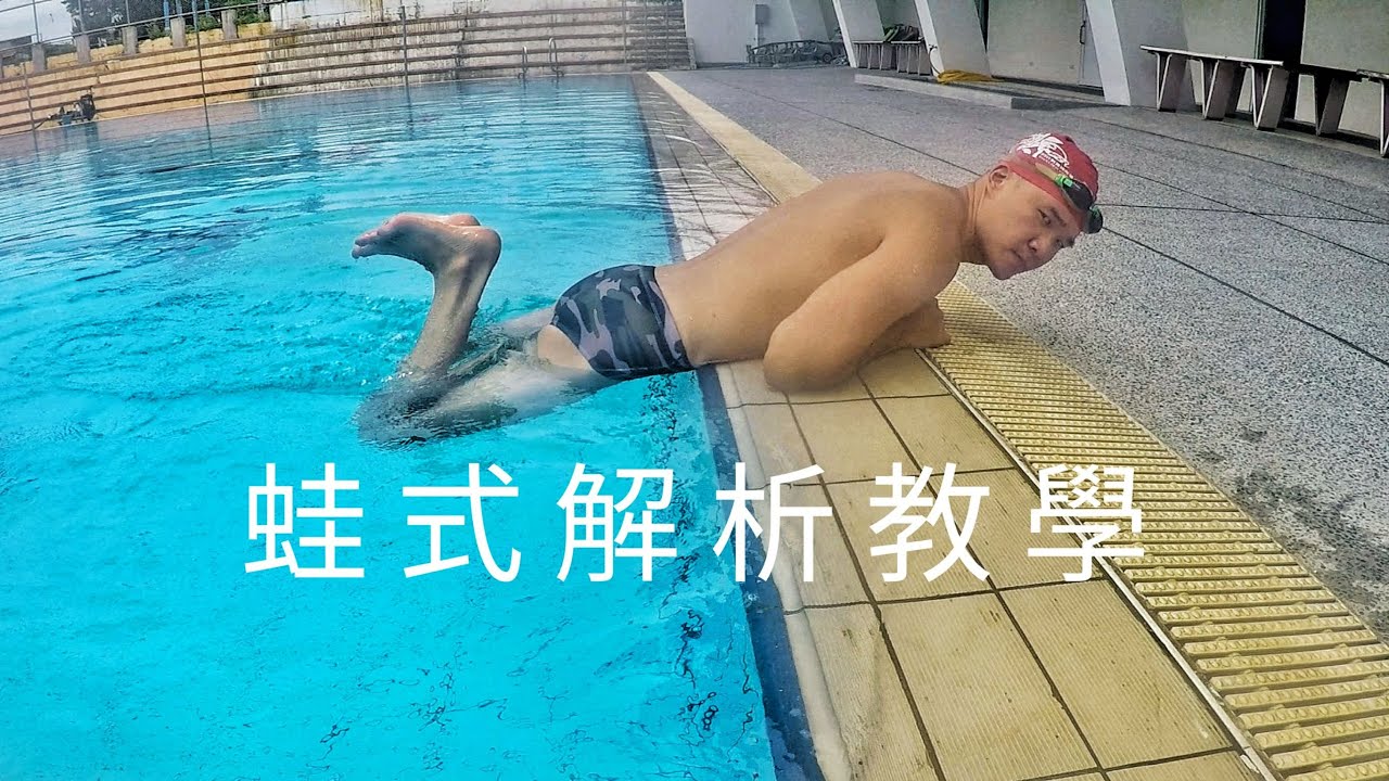 蛙式解析教學