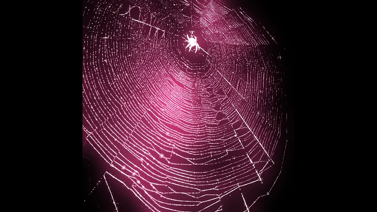 FREE AMBIENT LOOPKIT - 