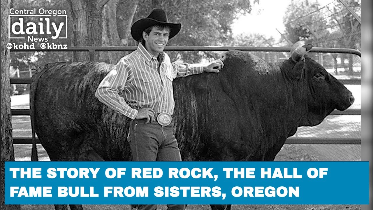 The story of Red Rock, the Hall of Fame rodeo bull from Sisters, Oregon