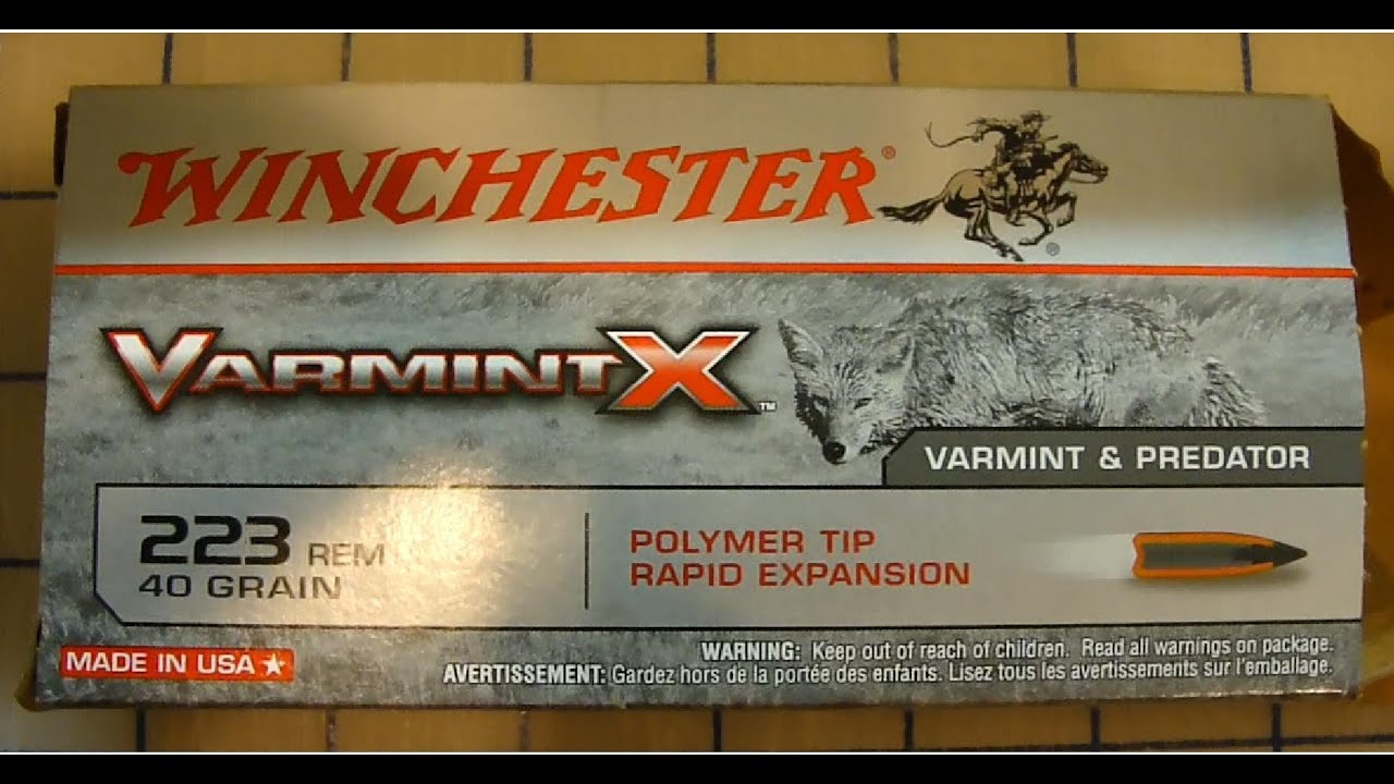 .223 Rem Winchester VarmintX 40 gr. Ballistic Gel Test