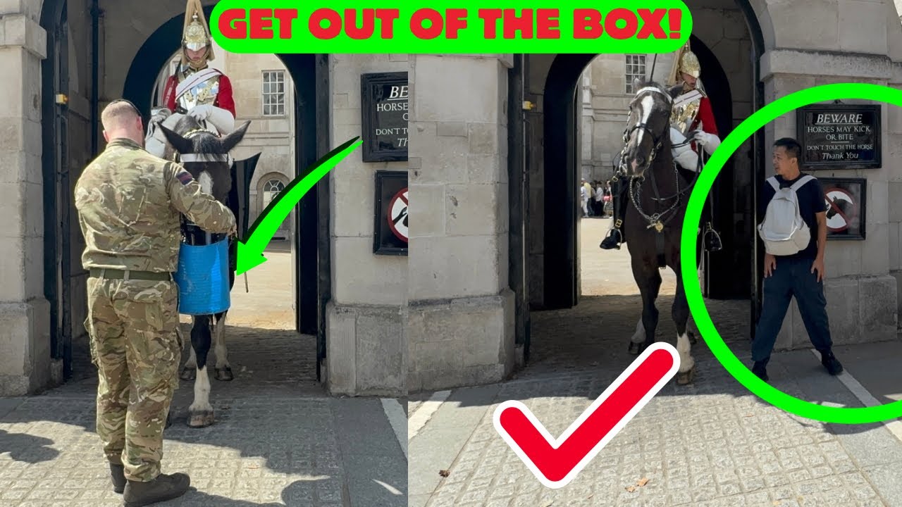 🤬BACK OFF! Guard Scolds Chinese Tourist Near the Horse! 😳💂🐎”