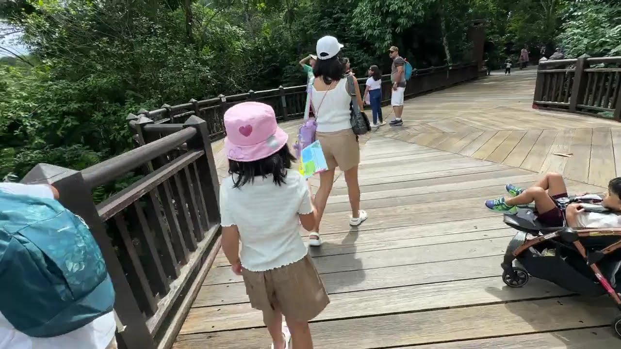 Singapore Zoo - Mandai Wildlife Reserve | December 24, 2024