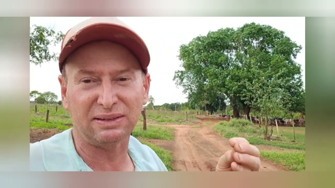 Ajudando um caminhoneiro. / Calcário chegou e já começamos jogar..