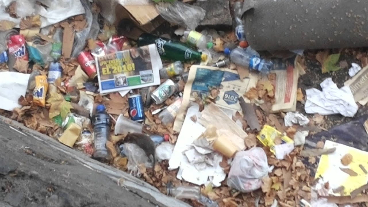 Guarenes en el Rio Mapocho de Santiago.  Inpresentable !!