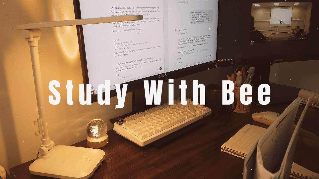 Study with Bee | 3h | Stillness & Focus