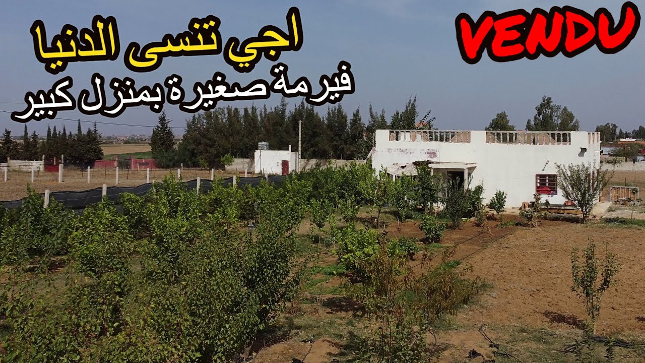 ✨ الفيرمة فين تنسى الدنيا صغيرة فيها كلشي منزل 130 متر و200 شجرة وجميع التجهيزات بثمن رائع ✨ تيفلت