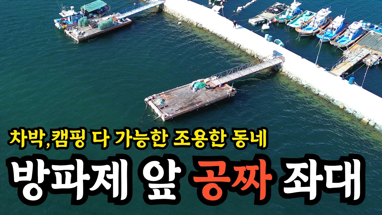 조용한 동네낚시에 온갖 고기가 올라온다