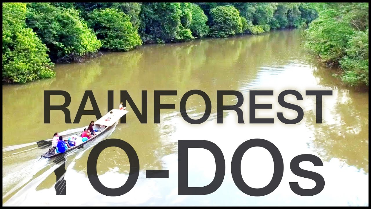 What to do in the Rainforest! Top 10 List