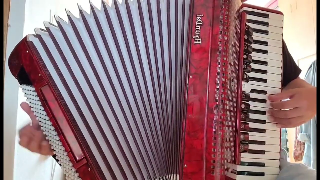 [крокодил гена-голубои вагон аккордеон]crocodile gena-blue wagon accordion 악어 계나 파란 기차 아코디언 연주