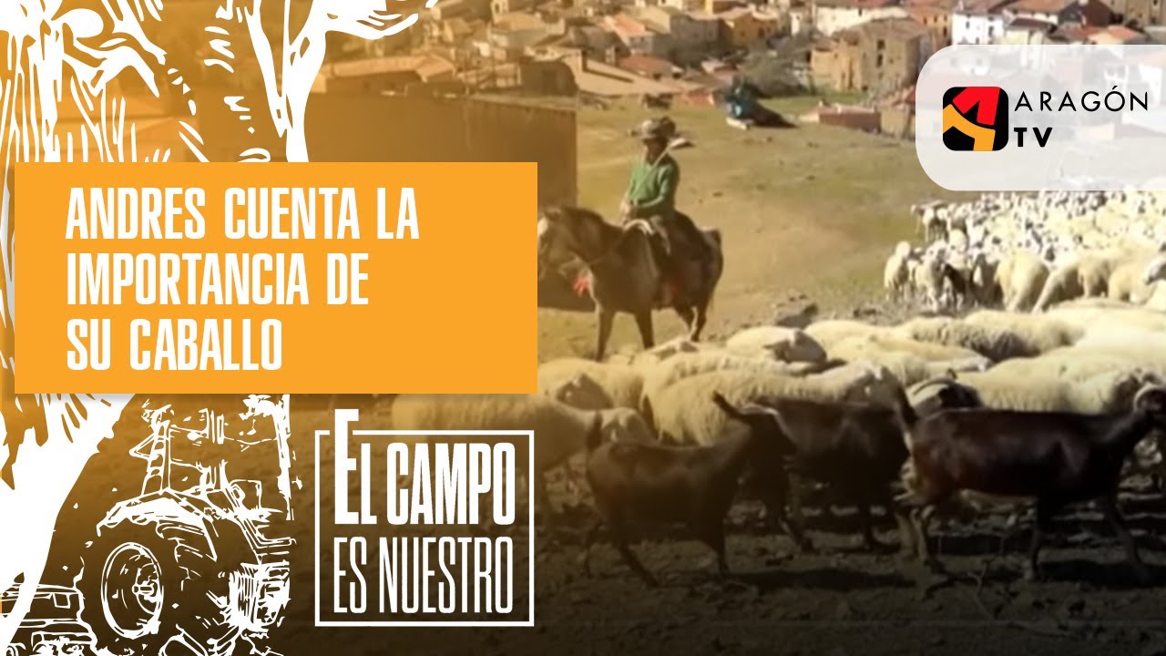 Andrés cuenta la importancia de su caballo