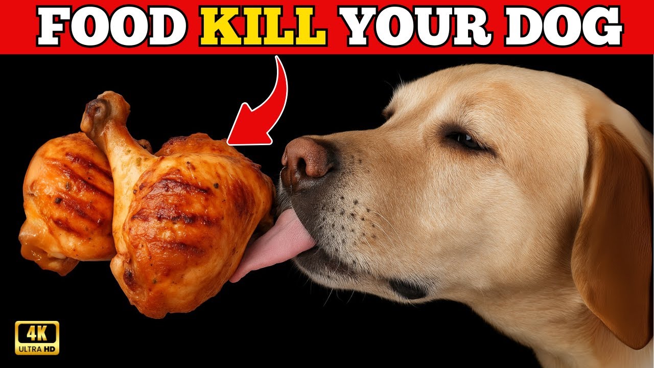 16 Foods You Should NEVER Feed Your Dog (Even If They LOVE Them)