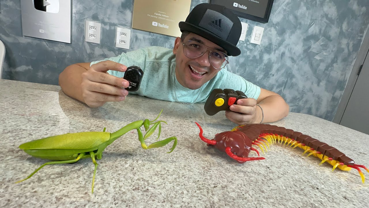 FIZ UMA BATALHA ENTRE UM LOUVA-DEUS DE CONTROLE REMOTO vs CENTOPÉIA DE CONTROLE REMOTO!