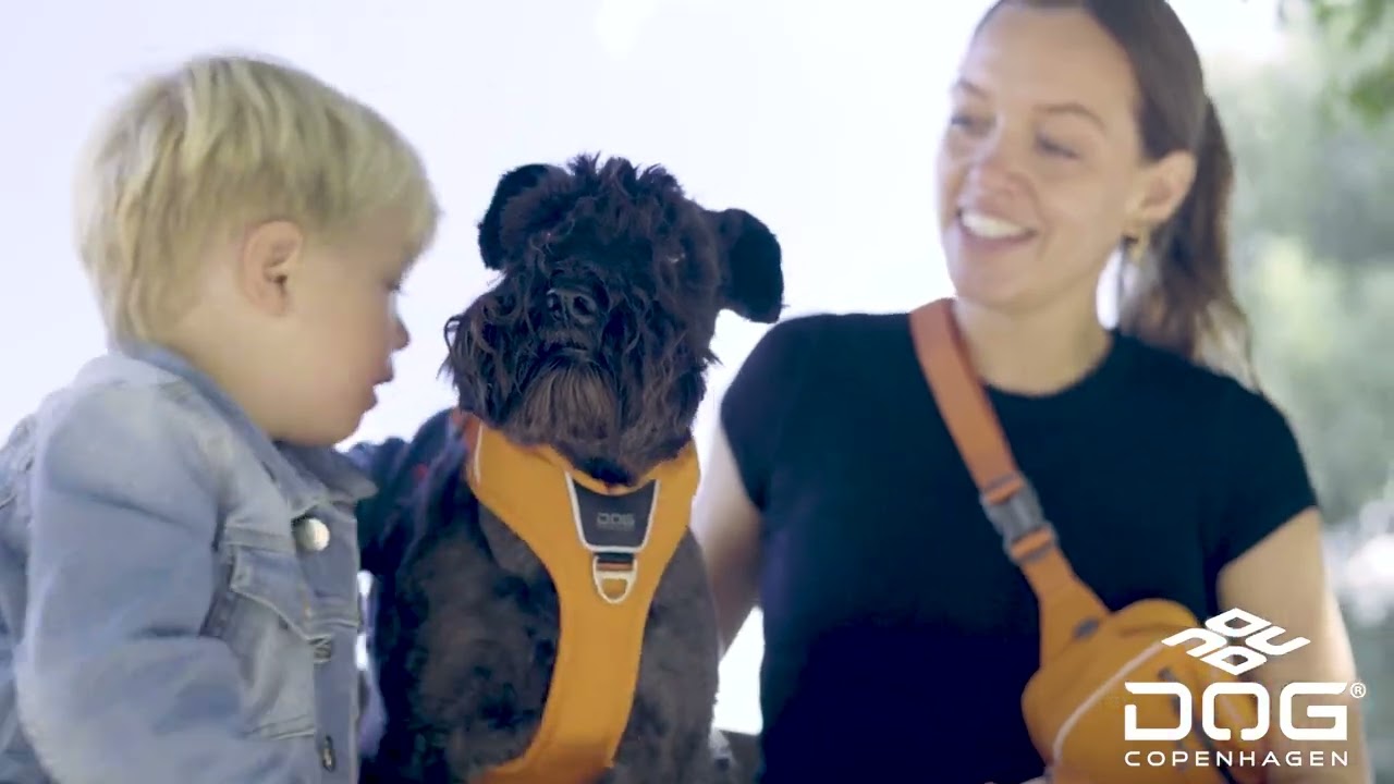 Lifestyle video - Comfort Walk Pro&trade; harness