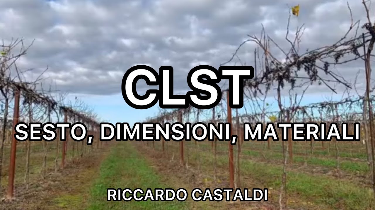 Vite. CLST: sesto, dimensioni e materiali