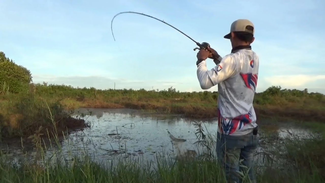 PEMANCING NEKAT SEMUA SPOT PERAWAN DIOBRAK - ABRIK