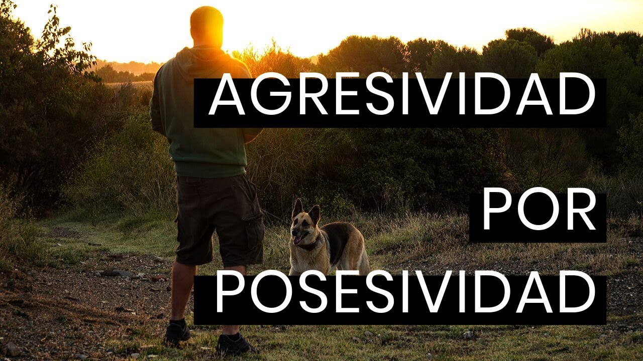 🔴 Agresividad Por Posesión De Recursos - Qué es y Como tratarla [VIDEO-PODCAST]