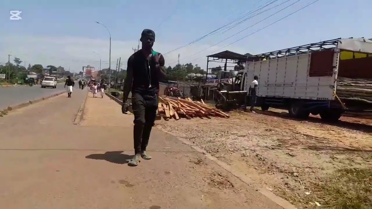 Is this kakamega??its really growing fast