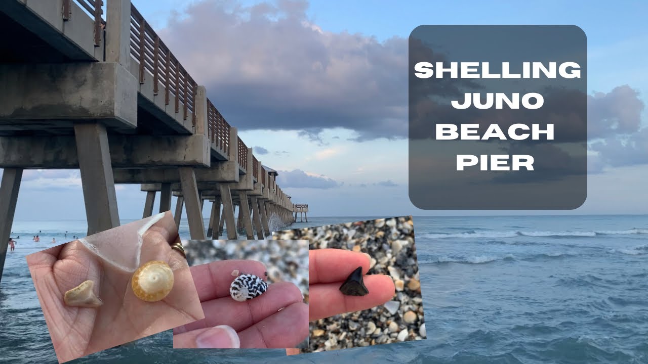 STREETS OF SHELLS AT JUNO BEACH PIER