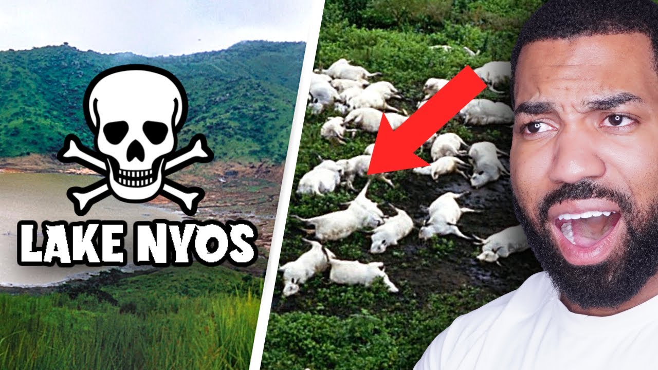 ENTIRE VILLAGE dropped DEAD overnight? | Mr. Ballen